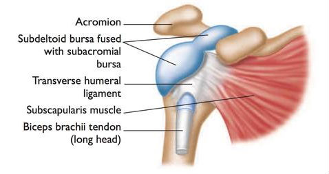 Top 10 Shoulder Pain Causes