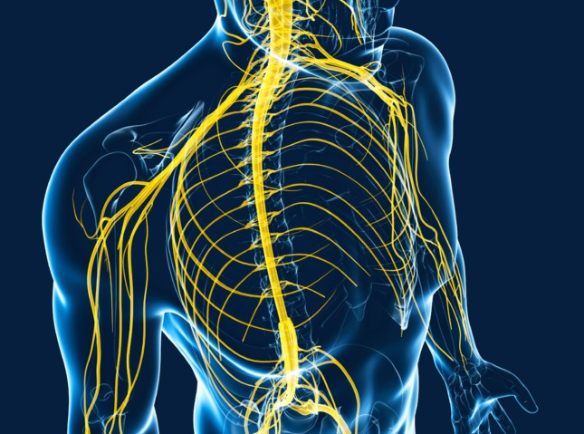 Spine, Bone And Joint Specialist Penang