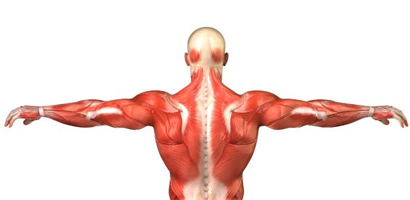 Spine, Bone And Joint Specialist Penang