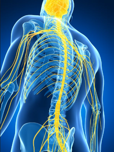 Spine, Bone And Joint Specialist Penang