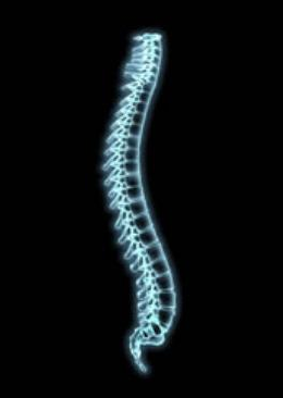 Spine, Bone And Joint Specialist Penang