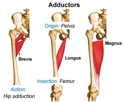 Top 10 Most Common Sports Injuries